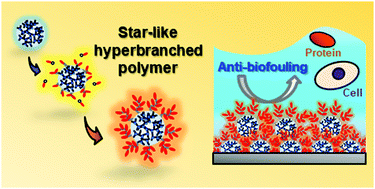 Graphical abstract: Design of a star-like hyperbranched polymer having hydrophilic arms for anti-biofouling coating