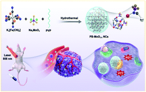 Plasmonic MoO3−x nanoparticles incorporated in Prussian blue frameworks