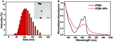 Graphical abstract: Thieno[3,2-b]thiophene-DPP based near-infrared nanotheranostic agent for dual imaging-guided photothermal/photodynamic synergistic therapy