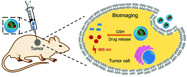 Graphical abstract: Nanomized tumor-microenvironment-active NIR fluorescent prodrug for ensuring synchronous occurrences of drug release and fluorescence tracing