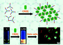 Graphical abstract: A water-soluble two-dimensional supramolecular organic framework with aggregation-induced emission for DNA affinity and live-cell imaging