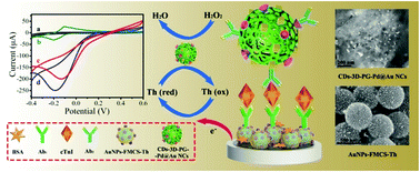 Graphical abstract: Ultrasensitive sandwich-type immunosensor for cardiac troponin I based on enhanced electrocatalytic reduction of H2O2 using β-cyclodextrins functionalized 3D porous graphene-supported Pd@Au nanocubes