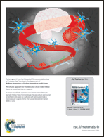 Graphical abstract: Back cover