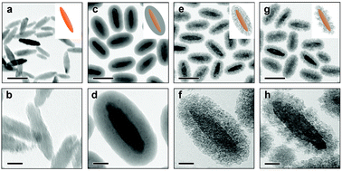 Graphical abstract: A general and mild route to highly dispersible anisotropic magnetic colloids for sensing weak magnetic fields