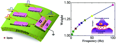 Graphical abstract: Electric-double-layer transistors for synaptic devices and neuromorphic systems