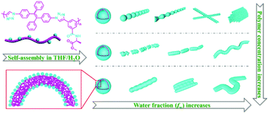 Graphical abstract: In situ visualizable self-assembly, aggregation-induced emission and circularly polarized luminescence of tetraphenylethene and alanine-based chiral polytriazole