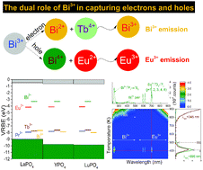 Graphical abstract: Bi3+ acting both as an electron and as a hole trap in La-, Y-, and LuPO4