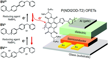 Graphical abstract: Simultaneous enhancement of charge density and molecular stacking order of polymer semiconductors by viologen dopants for high performance organic field-effect transistors