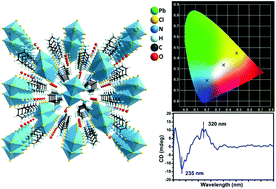 Graphical abstract: White-light emission in a chiral one-dimensional organic–inorganic hybrid perovskite