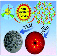 Graphical abstract: 2D superlattice nanostructures formed via self-assembly of discotic liquid crystals dominated by long range dipole–dipole interaction