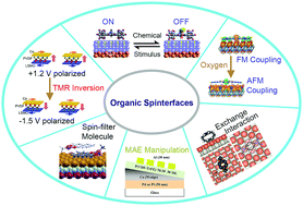 Graphical abstract: Progress in organic molecular/ferromagnet spinterfaces: towards molecular spintronics
