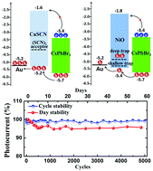 Graphical abstract: Flexible all-inorganic photoconductor detectors based on perovskite/hole-conducting layer heterostructures