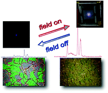 Graphical abstract: Electrically enhancing and modulating the photoluminescence of upconversion nanoparticles using liquid crystals