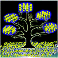 Graphical abstract: High photoluminescence quantum yield of 18.7% by using nitrogen-doped Ti3C2 MXene quantum dots