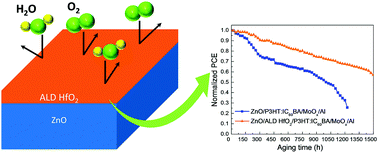 Graphical abstract: Insights into the passivation effect of atomic layer deposited hafnium oxide for efficiency and stability enhancement in organic solar cells