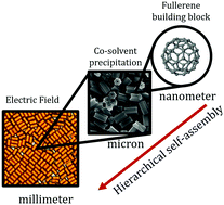 Graphical abstract: Electric field-directed assembly of fullerene crystal rods into hierarchical films