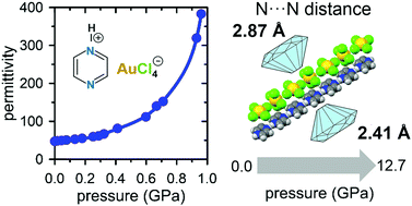 Graphical abstract: A giant 2-dimensional dielectric response in a compressed hydrogen-bonded hybrid organic–inorganic salt