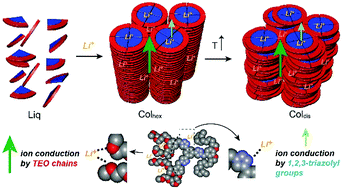 Graphical abstract: Ionic effects on the self-assembly, molecular dynamics and conduction properties of a 1,2,3-triazole-based amphiphile