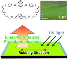 Graphical abstract: Linearly polarized photoluminescence from an asymmetric cyclophane showing thermo- and mechanoresponsive luminescence