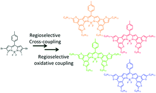 Graphical abstract: Versatile synthesis of α-fused BODIPY displaying intense absorption in the NIR region and high electron affinity