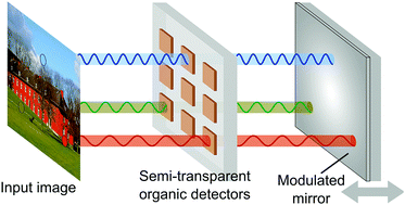 Graphical abstract: Standing wave spectrometer with semi-transparent organic detector