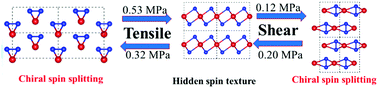 Graphical abstract: Phase polymorphism and electronic structures of TeSe2