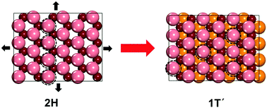 Graphical abstract: Tuning the phase stability of Mo-based TMD monolayers through coupled vacancy defects and lattice strain