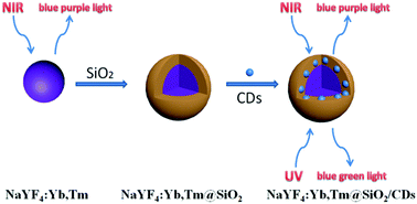 Graphical abstract: Preparation and properties of dual-mode luminescent NaYF4:Yb,Tm@SiO2/carbon dot nanocomposites
