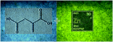 Graphical abstract: Zinc/itaconate coordination polymers as first examples with long-lasting phosphorescence based on acyclic ligands