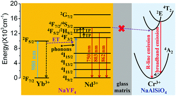 Graphical abstract: A novel wide temperature range and multi-mode optical thermometer based on bi-functional nanocrystal-doped glass ceramics