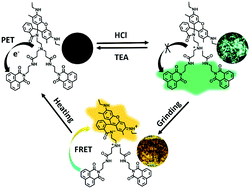 Graphical abstract: Dual fluorescence switching of a Rhodamine 6G-naphthalimide conjugate with high contrast in the solid state