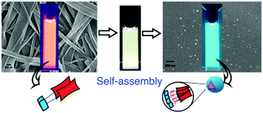 Graphical abstract: Exploration of dynamic self-assembly mediated nanoparticle formation using perylenemonoimide–pyrene conjugate: a tool towards single-component white-light emission