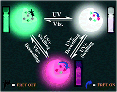 Graphical abstract: Switchable single fluorescent polymeric nanoparticles for stable white-light generation