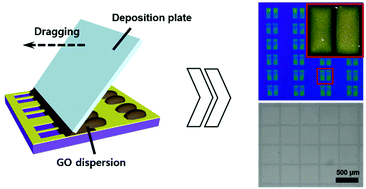 Graphical abstract: Liquid thin film dewetting-driven micropatterning of reduced graphene oxide electrodes for high performance OFETs