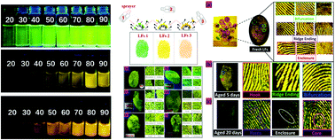 Graphical abstract: Tunable-emission and AIPE-active heteroleptic Ir(iii) complexes for fingermark detection via a spraying technique