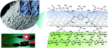 Graphical abstract: Highly conductive and ultra-durable electronic textiles via covalent immobilization of carbon nanomaterials on cotton fabric