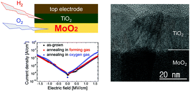 Graphical abstract: MoO2 as a thermally stable oxide electrode for dynamic random-access memory capacitors