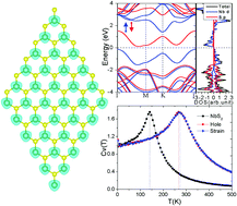 Graphical abstract: Bipolar magnetism in a two-dimensional NbS2 semiconductor with high Curie temperature