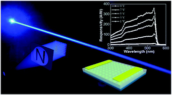 Graphical abstract: In situ formation of CsPbBr3/ZnO bulk heterojunctions towards photodetectors with ultrahigh responsivity