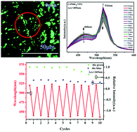 Graphical abstract: A stimuli responsive material of perovskite quantum dots composited nano-porous glass