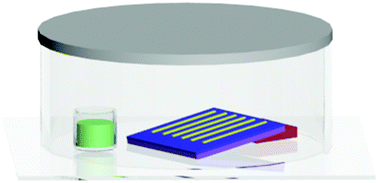 Graphical abstract: Unidirectional and crystalline organic semiconductor microwire arrays by solvent vapor annealing with PMMA as the assisting layer