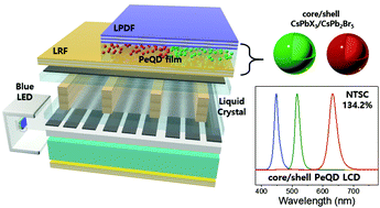 Graphical abstract: Highly efficient wide-color-gamut QD-emissive LCDs using red and green perovskite core/shell QDs