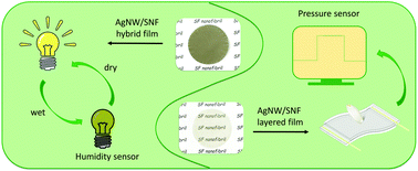 Graphical abstract: Environmentally responsive composite films fabricated using silk nanofibrils and silver nanowires