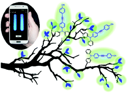 Graphical abstract: Tailored fluorescent solvatochromic test strips for quantitative on-site detection of gasoline fuel adulteration