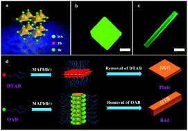 Graphical abstract: Crystal facet engineering induced anisotropic transport of charge carriers in a perovskite