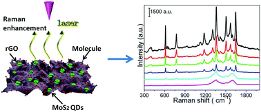 Graphical abstract: A novel sensitive and stable surface enhanced Raman scattering substrate based on a MoS2 quantum dot/reduced graphene oxide hybrid system