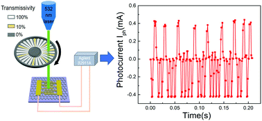 Graphical abstract: A tunable positive and negative photoconductive photodetector based on a gold/graphene/p-type silicon heterojunction