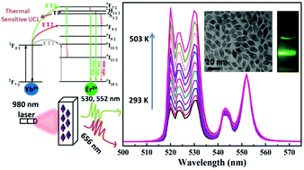 Graphical abstract: Facile synthesis of mono-disperse sub-20 nm NaY(WO4)2:Er3+,Yb3+ upconversion nanoparticles: a new choice for nanothermometry