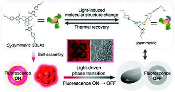 Graphical abstract: A trigonal molecular assembly system with the dual light-driven functions of phase transition and fluorescence switching