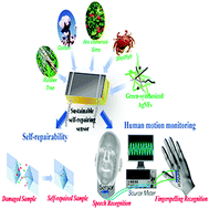 Graphical abstract: A naturally-derived supramolecular elastomer containing green-synthesized silver nanofibers for self-repairing E-skin sensor